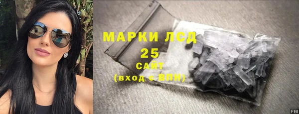 прущие грибы Белокуриха