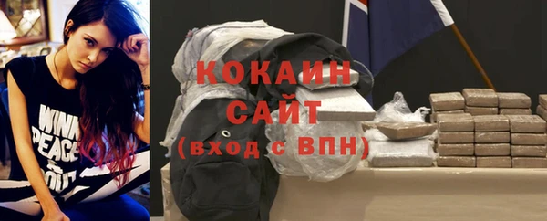 индика Балахна