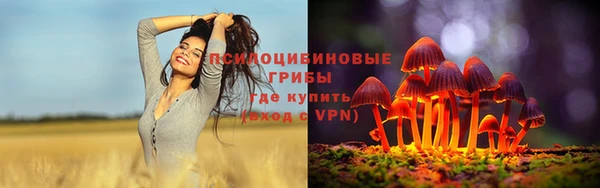 прущие грибы Белокуриха