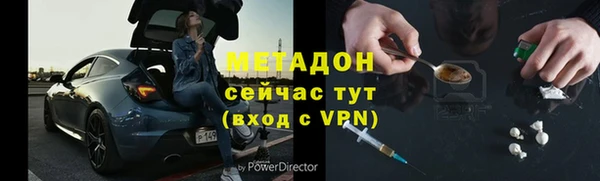 прущие грибы Белокуриха