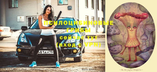индика Балахна