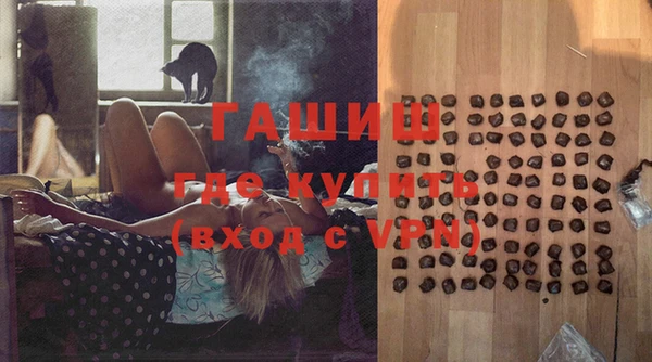 индика Балахна