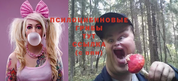 прущие грибы Белокуриха