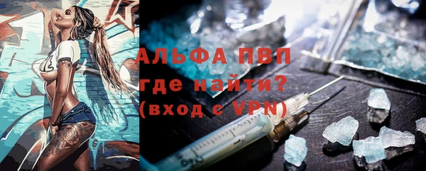прущие грибы Белокуриха