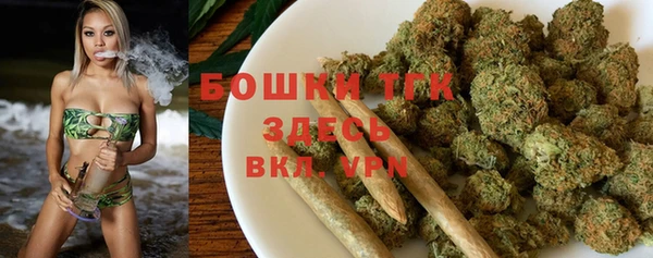 индика Балахна