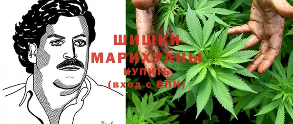 ГАЛЛЮЦИНОГЕННЫЕ ГРИБЫ Беломорск