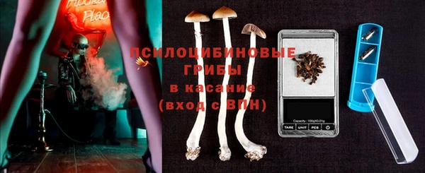 индика Балахна